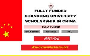 China Shandong University CCEED Scholarship 2024 - ScholarShipGreen