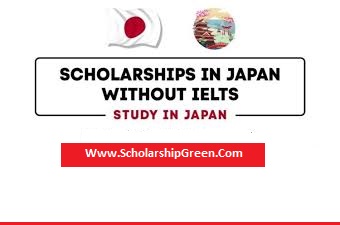 Japan Sophia University New Student Scholarships 2024-25